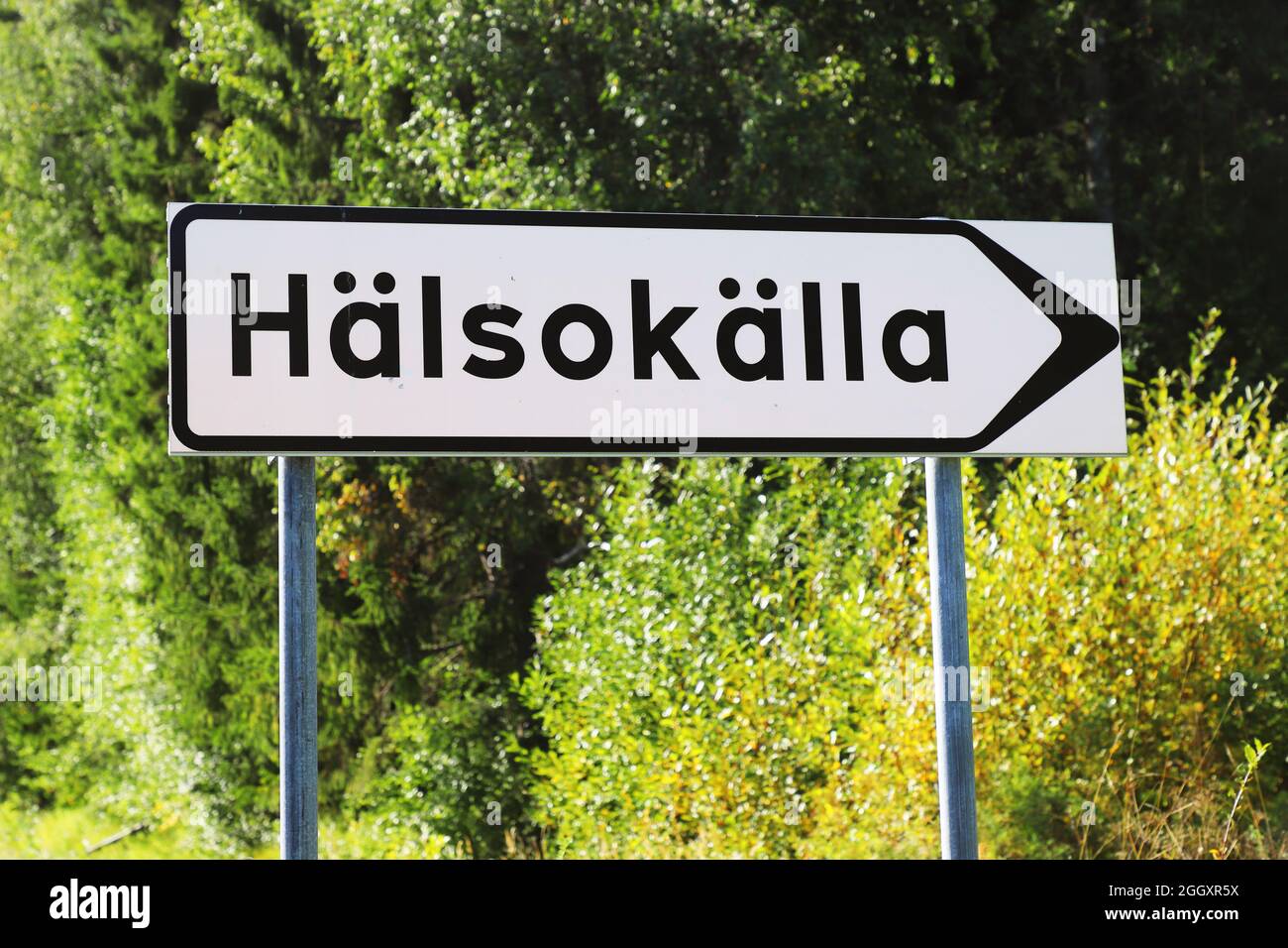 Wegweiser in schwedischer Sprache für eine Mineralquelle. Stockfoto