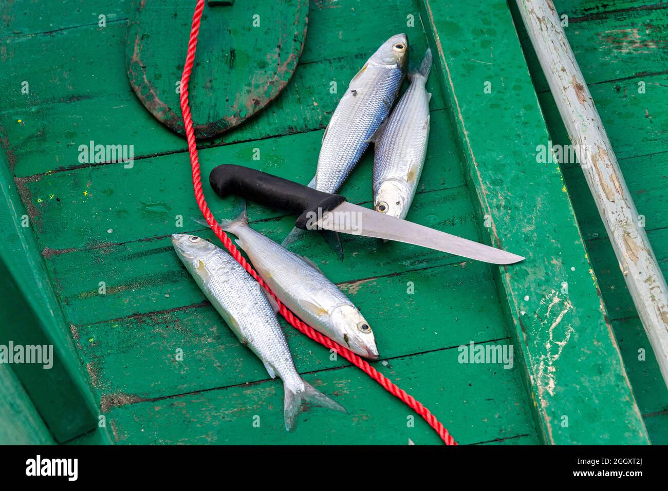 Ein Tag im Lebensstil der kubanischen Fischer, Tunas de Zaza, Sancti Spiritus, Kuba Stockfoto