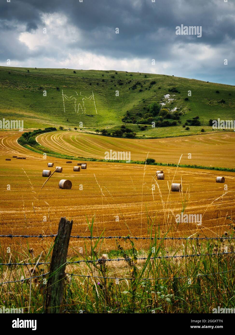 Ein Spätsommerfoto des Longman von Wilmington auf der Seite der South Downs am Rande des Dorfes Wilmington. Das kann ich mit Sicherheit sagen Stockfoto