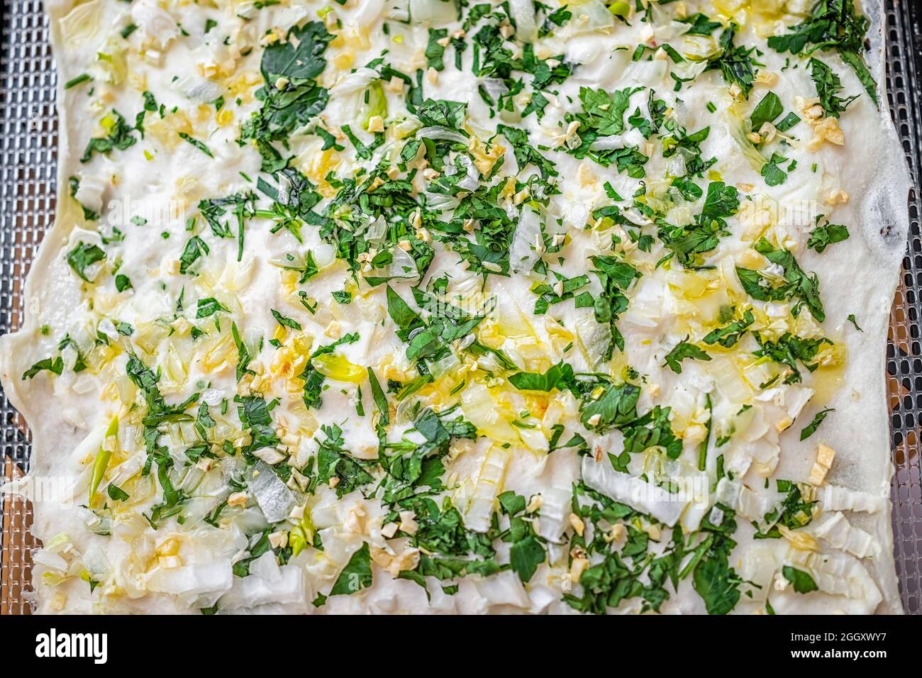 Oben flach liegend Nahaufnahme von indischem Naan rohem ungekochten Brot aus Kokosnussfleischteig, frischer grüner Petersilie und süßen Zwiebeln im Dehydrator Stockfoto