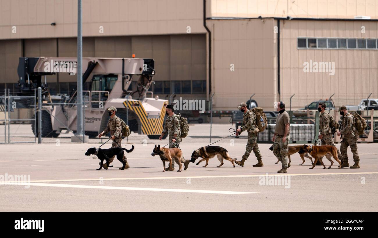 US Air Force Airmen, die der 822. Base Defence Squadron K-9 Einheit zugewiesen wurden, gehen nach ihrer Ankunft auf der Holloman Air Force Base, New Mexico, am 29. August 2021 zu einer in-Processing-Linie. Die 822. BDS wurden beauftragt, eine verbesserte Sicherheitspräsenz auf der Holloman AFB zur Unterstützung der Task Force – Holloman bereitzustellen. Das Verteidigungsministerium stellt durch das US-Nordkommando und zur Unterstützung des Heimatschutzministeriums Transport, vorübergehende Unterbringung, medizinische Vorsorgeuntersuchungen und allgemeine Unterstützung für mindestens 50,000 afghanische Evakuierte in geeigneten Einrichtungen, in permanenten oder temporären Strukturen, als q Stockfoto