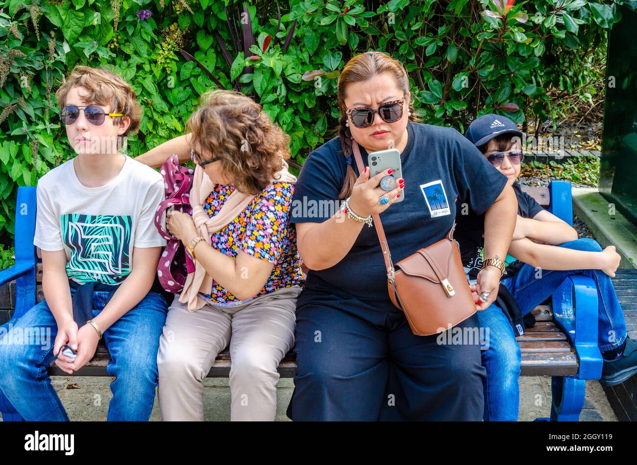 Eine Familie sitzt zusammen auf einer Parkbank, während Mama einen Videoanruf auf ihrem Mobiltelefon entgegennimmt. Stockfoto