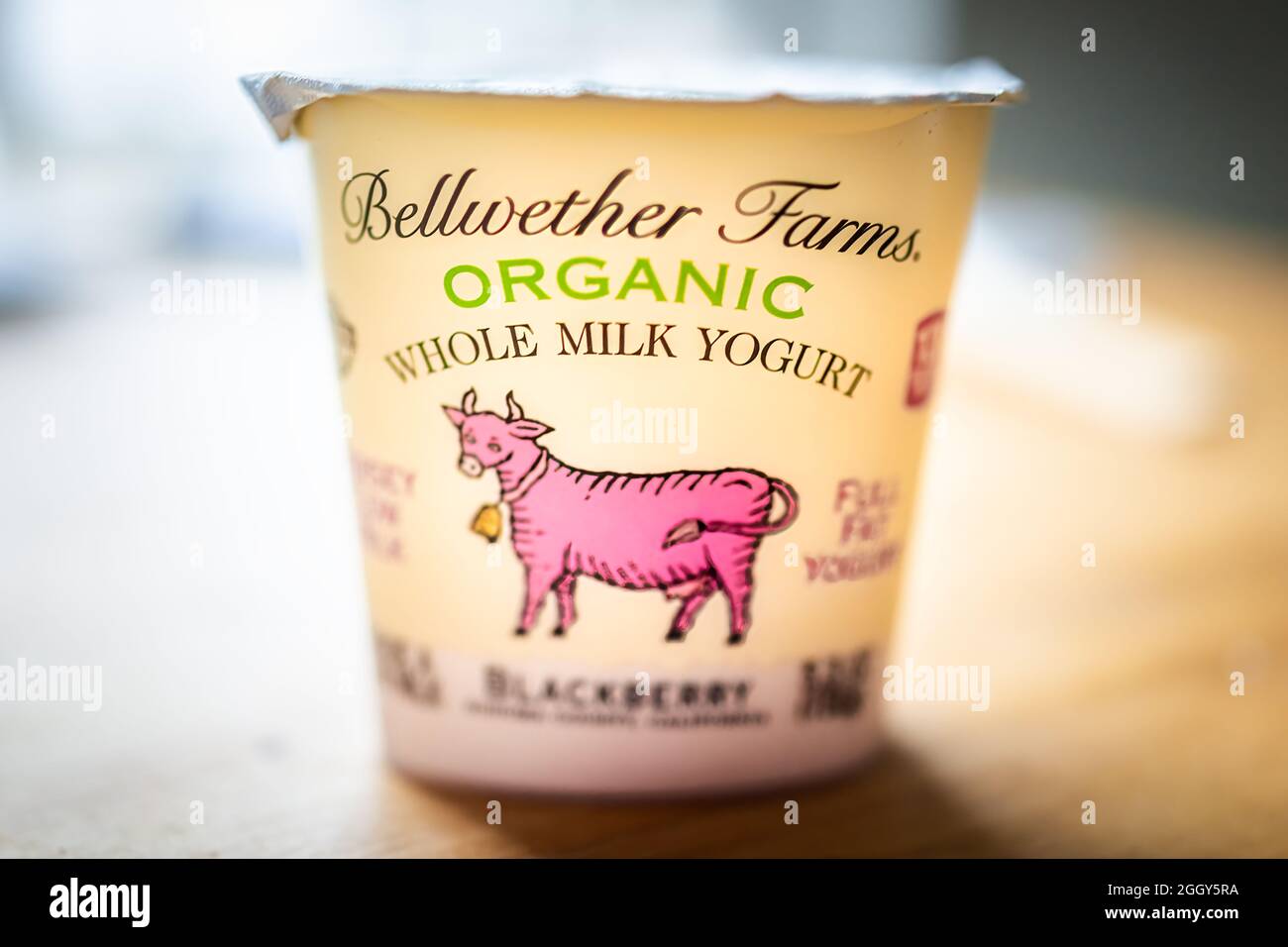 Herndon, USA - 25. März 2021: Nahaufnahme von Bellwether Farms Verpacken Sie Behälter mit Bio-Vollmilch-Joghurt mit Brombeeraroma auf Holztisch Stockfoto