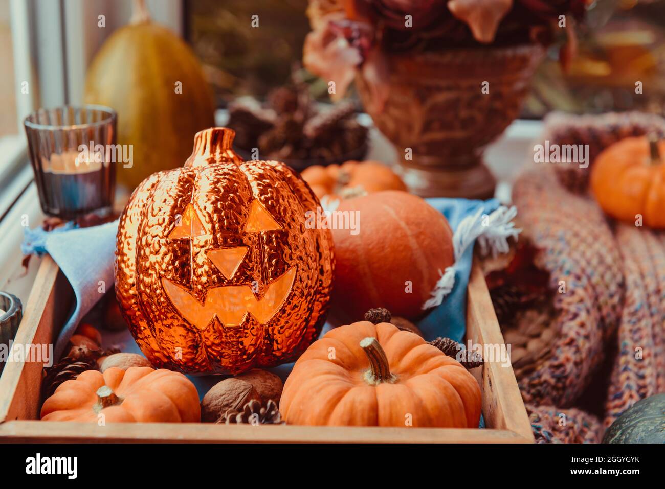 Nahaufnahme Halloween gemütliche Stimmung Komposition auf der Fensterbank. Beleuchtung Jack-o-Laterne, dekorative Kürbisse, Zapfen, Kerzen auf Holztablett, warmes Karo Stockfoto
