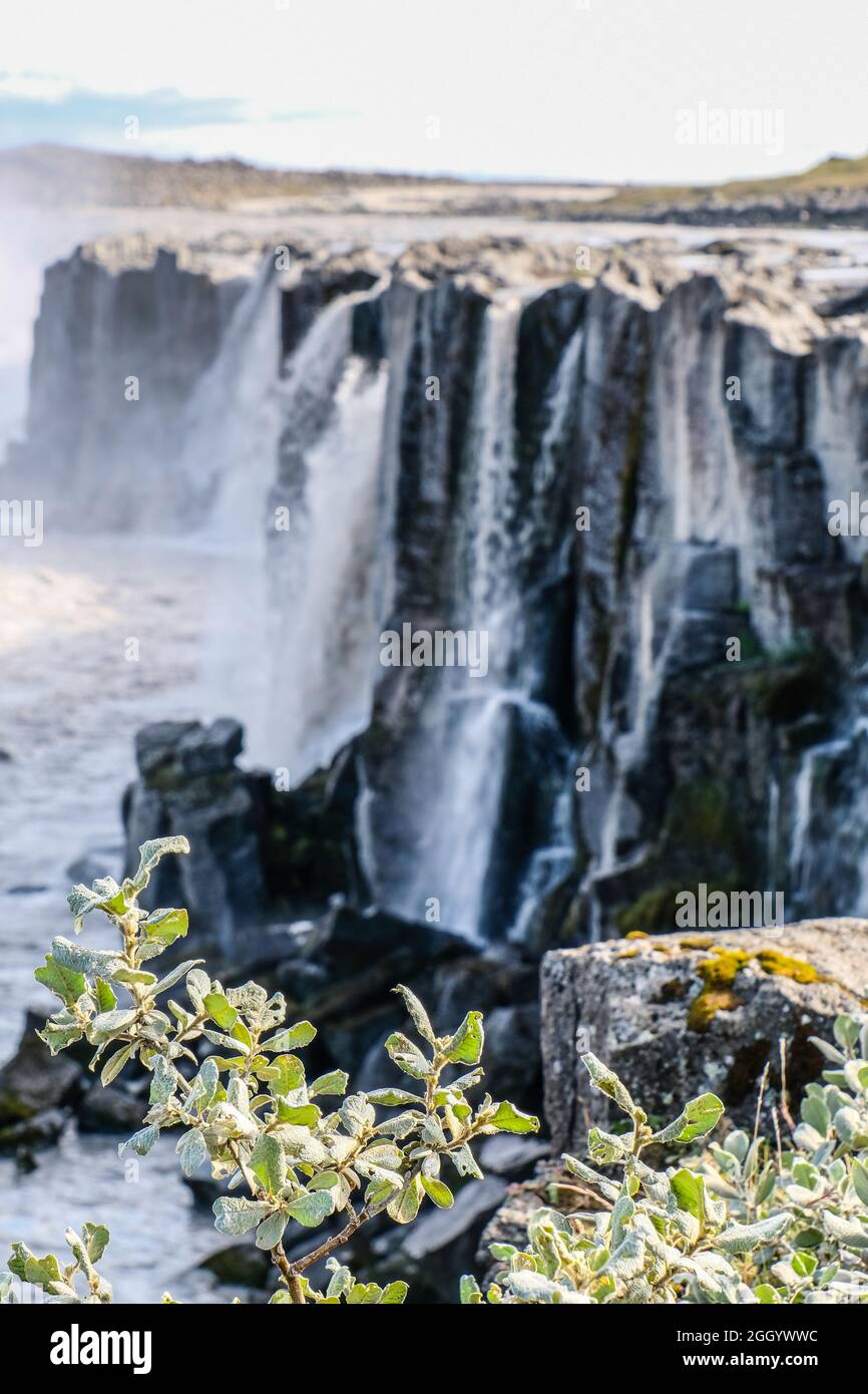 Island Stockfoto