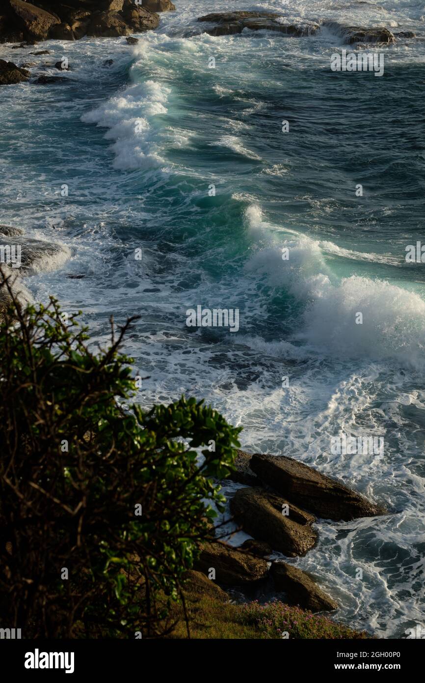 Blick auf das Meer vom Bondi zum Coogee Coast Walk Stockfoto