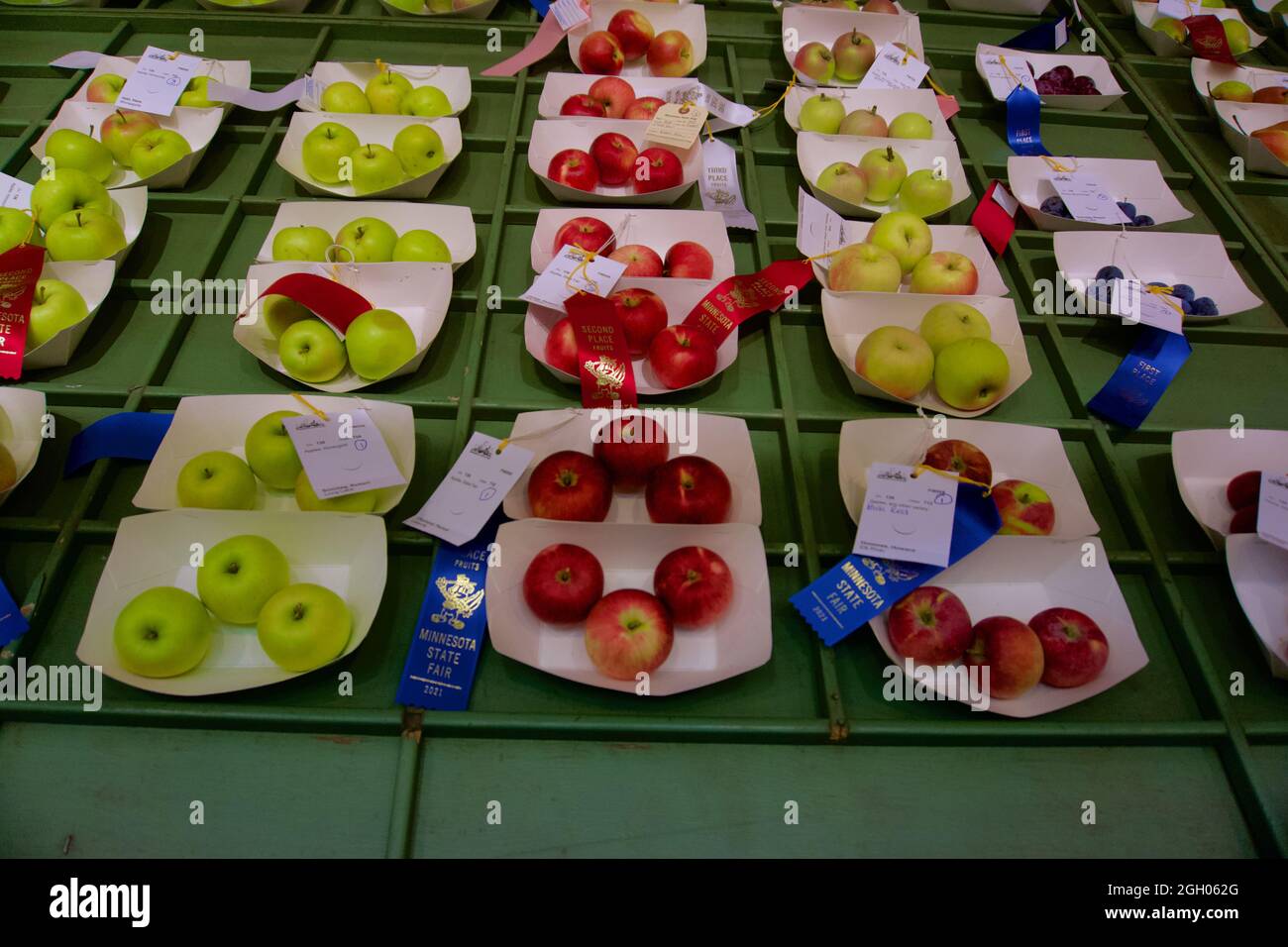 Apple Wettbewerb und Wettbewerb, blaue Bänder, rote Bänder, Agricultural Building, 2021 Minnesota State Fair, St. Paul, Minnesota. Stockfoto