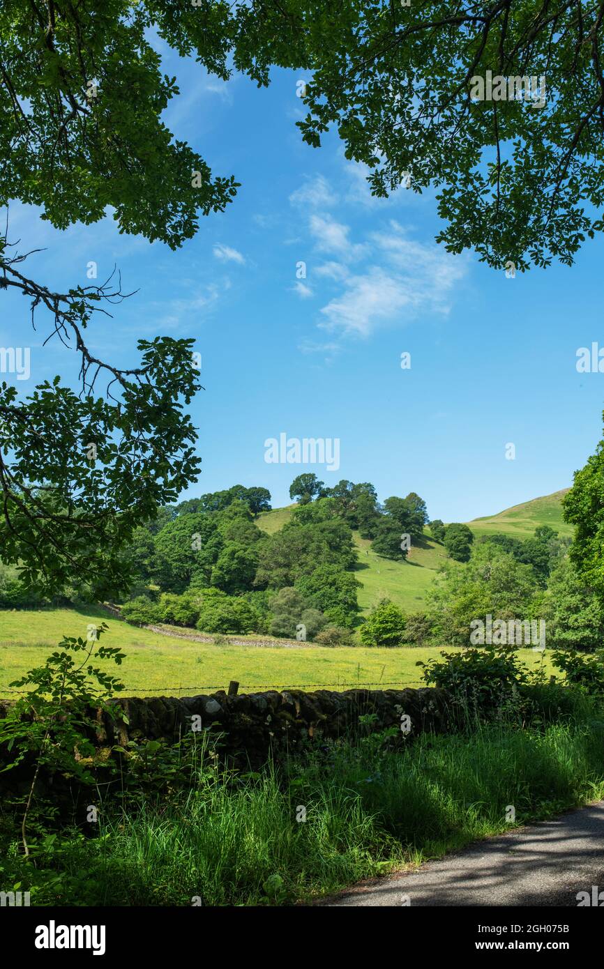 Schottische Landschaft im Sommer. In der Nähe von Penpont, Dumfries und Galloway, Schottland Stockfoto