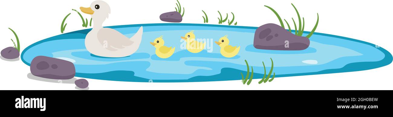 Isolierter Teich mit Enten und Entlein schwimmen. Steine und Kieselsteine mit Gras um den Wasserkörper. Stock Vektor