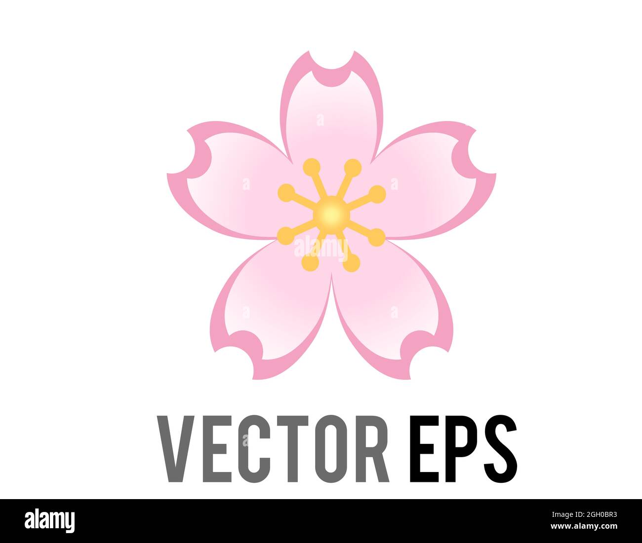 Vector einzelne hellrosa Sakura Blume der Kirschblüte Ikone mit fünf Blütenblättern und rot-spitzen Staubblätter in der gelben Mitte, verwendet für Valentinstag, Moth Stock Vektor