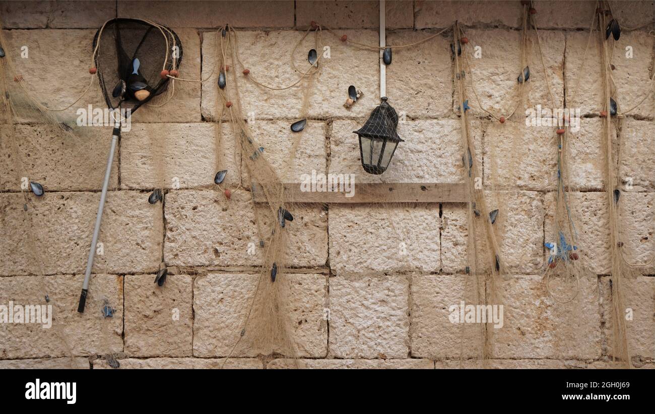 Muscheln und Abstinenz geschmückt an der Steinmauer, Korcula, Kroatien Stockfoto