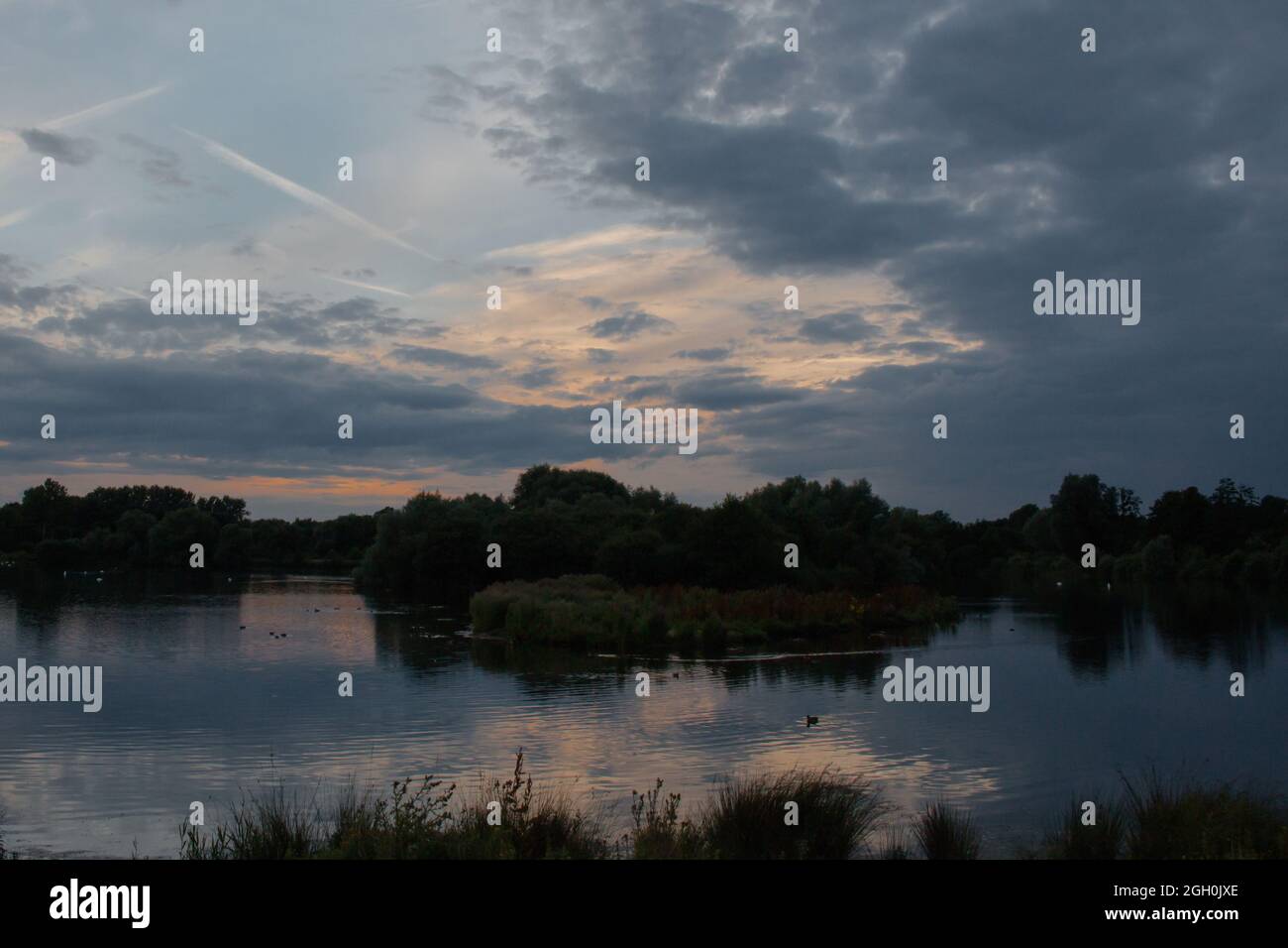 Die Sonne geht mit einem blauen und rosafarbenen Himmel über den Lackford Lakes in Suffolk unter Stockfoto