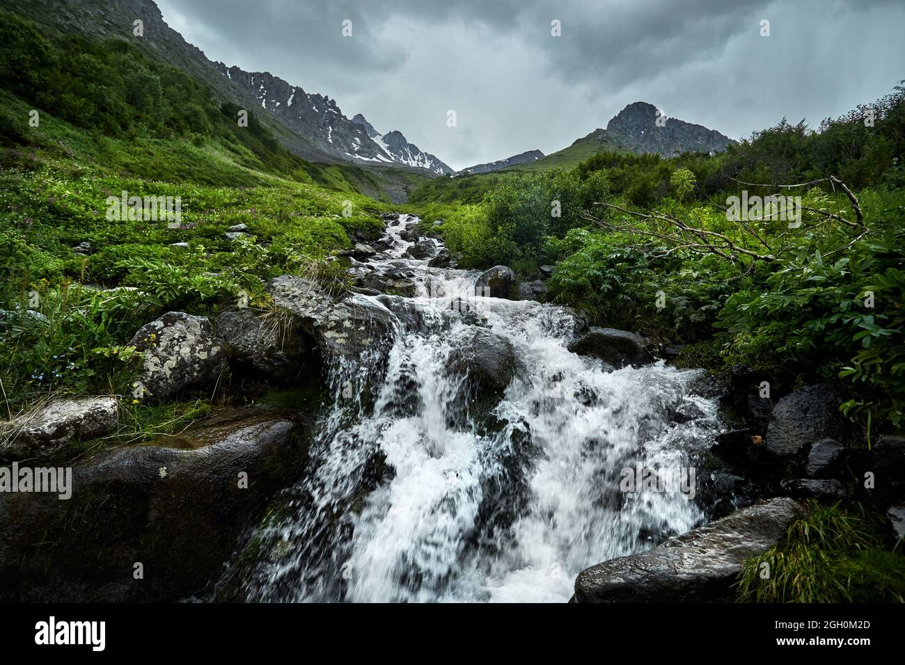 Wunderschöne Flusslandschaft im Bergtal und grüner, üppiger Wald auf Almaty, Kasachstan Stockfoto