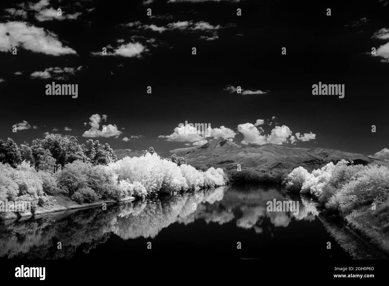 Infrarote schwarz-weiße Landschaft Stockfoto
