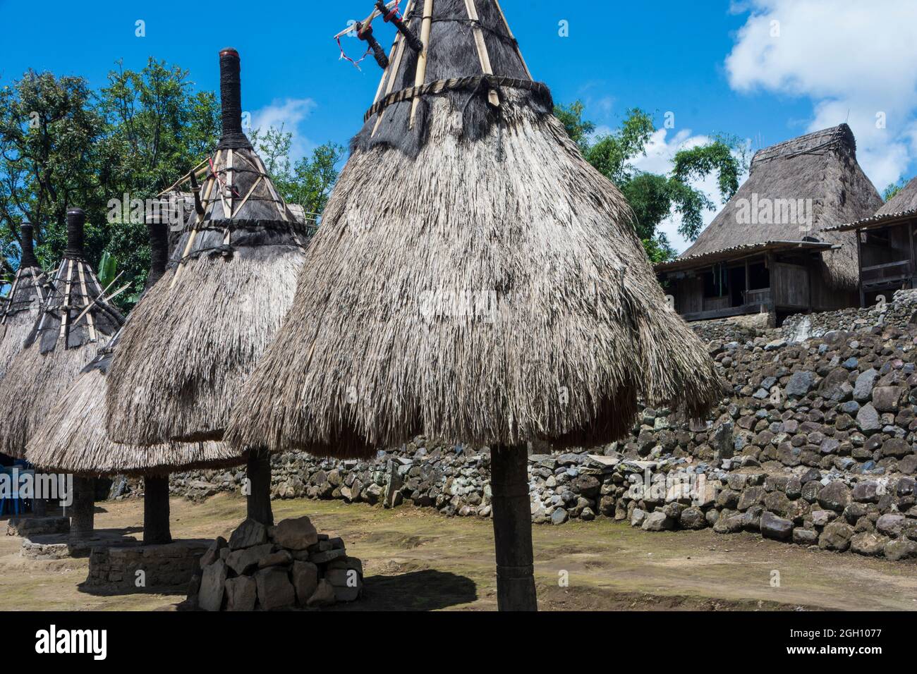 Die angestammten Ngadhu-Posten befinden sich im traditionellen Dorf Luba. East Nusa Tenggara, Flores, Indonesien Stockfoto