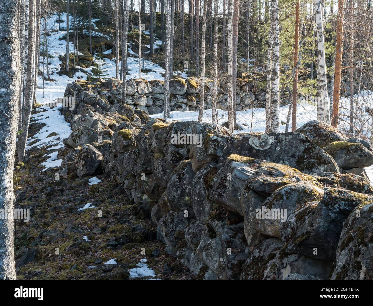 Alte Steinbefestigungsmauer im Wald Stockfoto