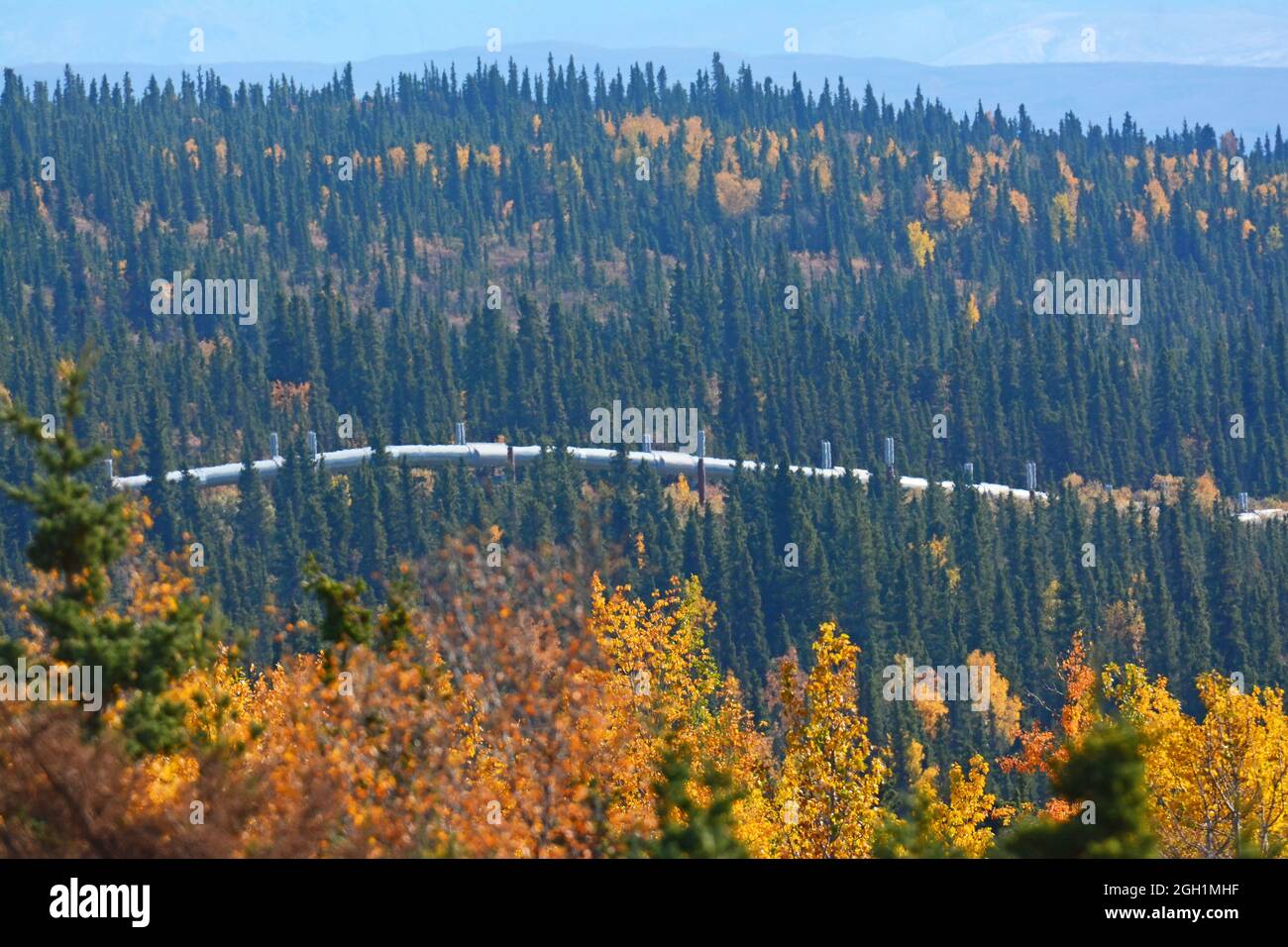 Trans Alaska Pipeline entlang des Richardson Highway, Alaska Stockfoto