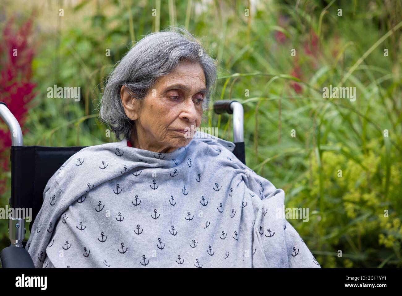 Alte Inderin, die in einem Rollstuhl in einem britischen Garten sitzt und traurig oder deprimiert aussieht. Zeigt die psychische Gesundheit älterer Menschen, Depressionen und Krankheiten im Alter Stockfoto