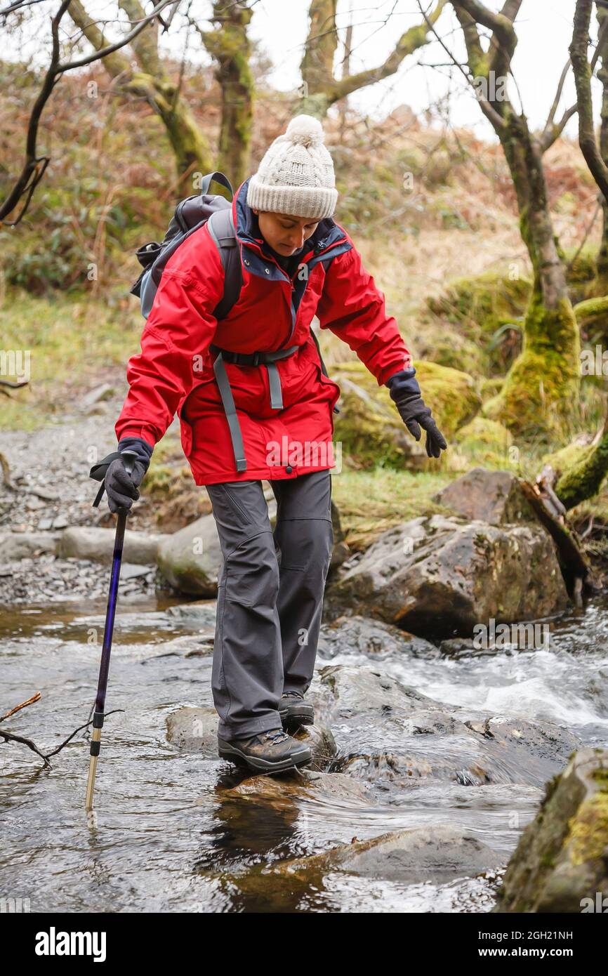 Asiatische indische Wandererin in wasserdichter Kleidung, Wandern im Gwydyr Forest, Snowdonia, Wales, Großbritannien Stockfoto