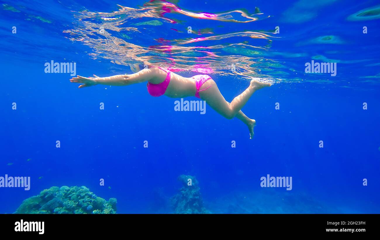 Ein junges, schönes Mädchen mit einer schönen Figur schwimmt im Roten Meer und schnorchelt Stockfoto