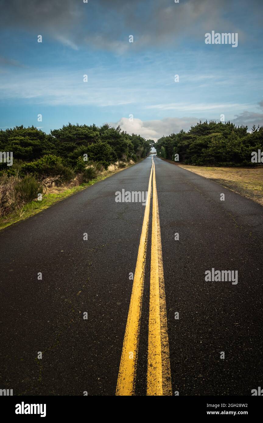 Vertikales Bild Landstraße mit Grün und blauer Himmel mit Wolken Stockfoto