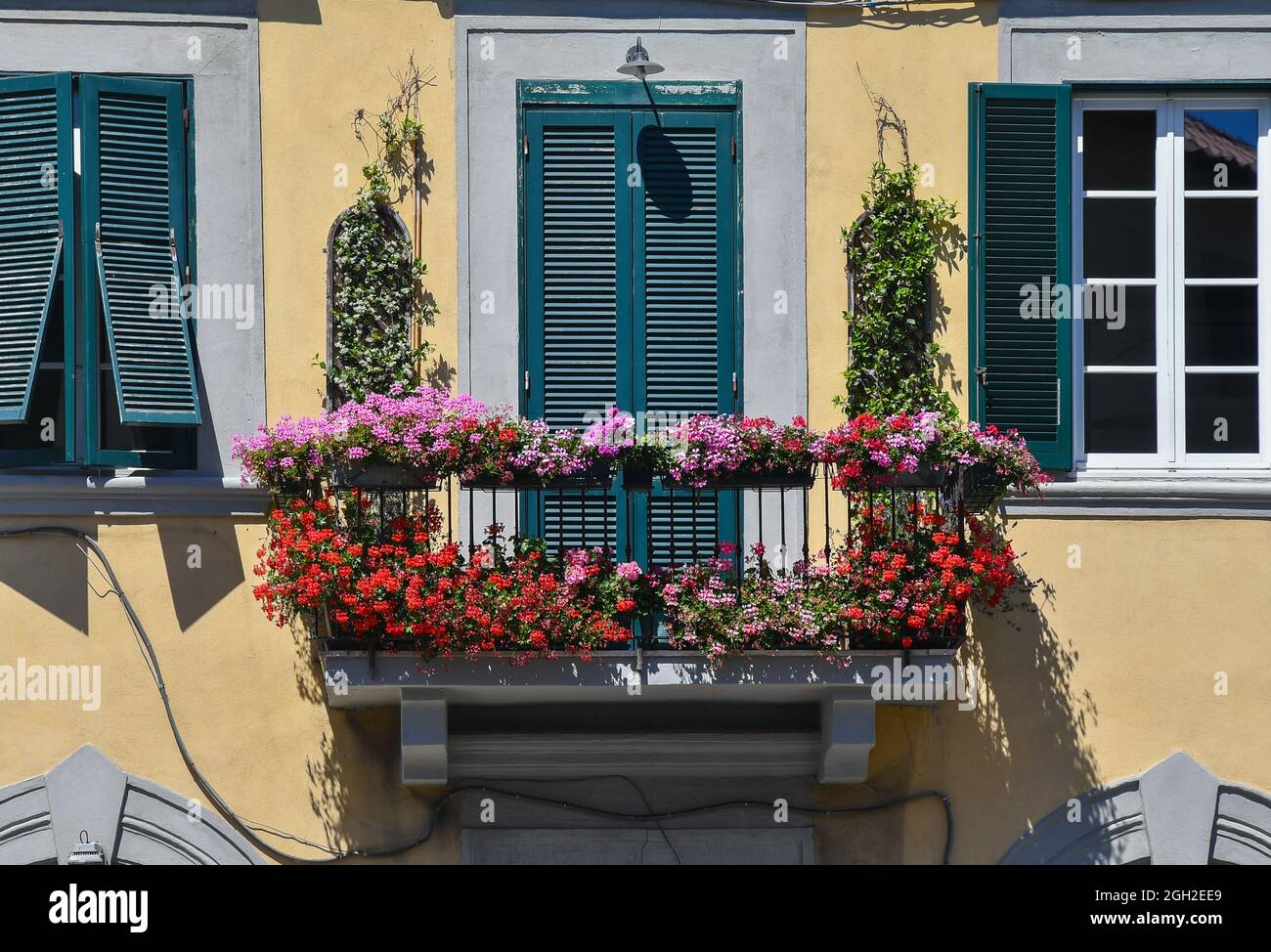 Außenansicht eines Hauses mit einem Balkon voller Blumentöpfe von Geranien in Blüte und Klettern Jasmin, Livorno, Toskana, Italien Stockfoto