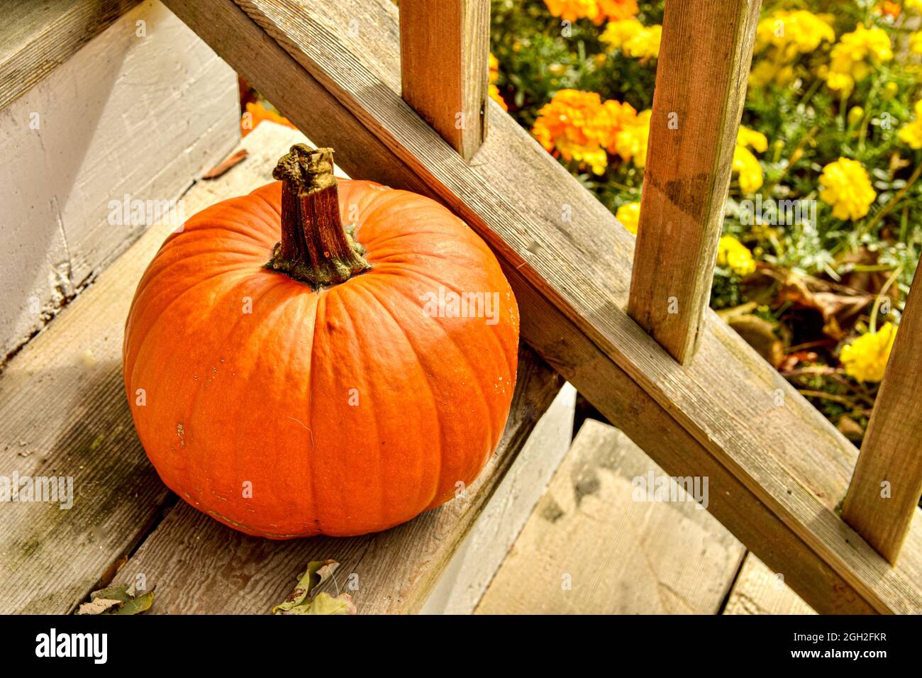 Ein leuchtend orangefarbener Kürbis sitzt auf einer Holztreppe, wobei die Winkel der Treppengeländer und Spindeln ein Gefühl von Bewegung und visuellem Interesse erzeugen. Stockfoto