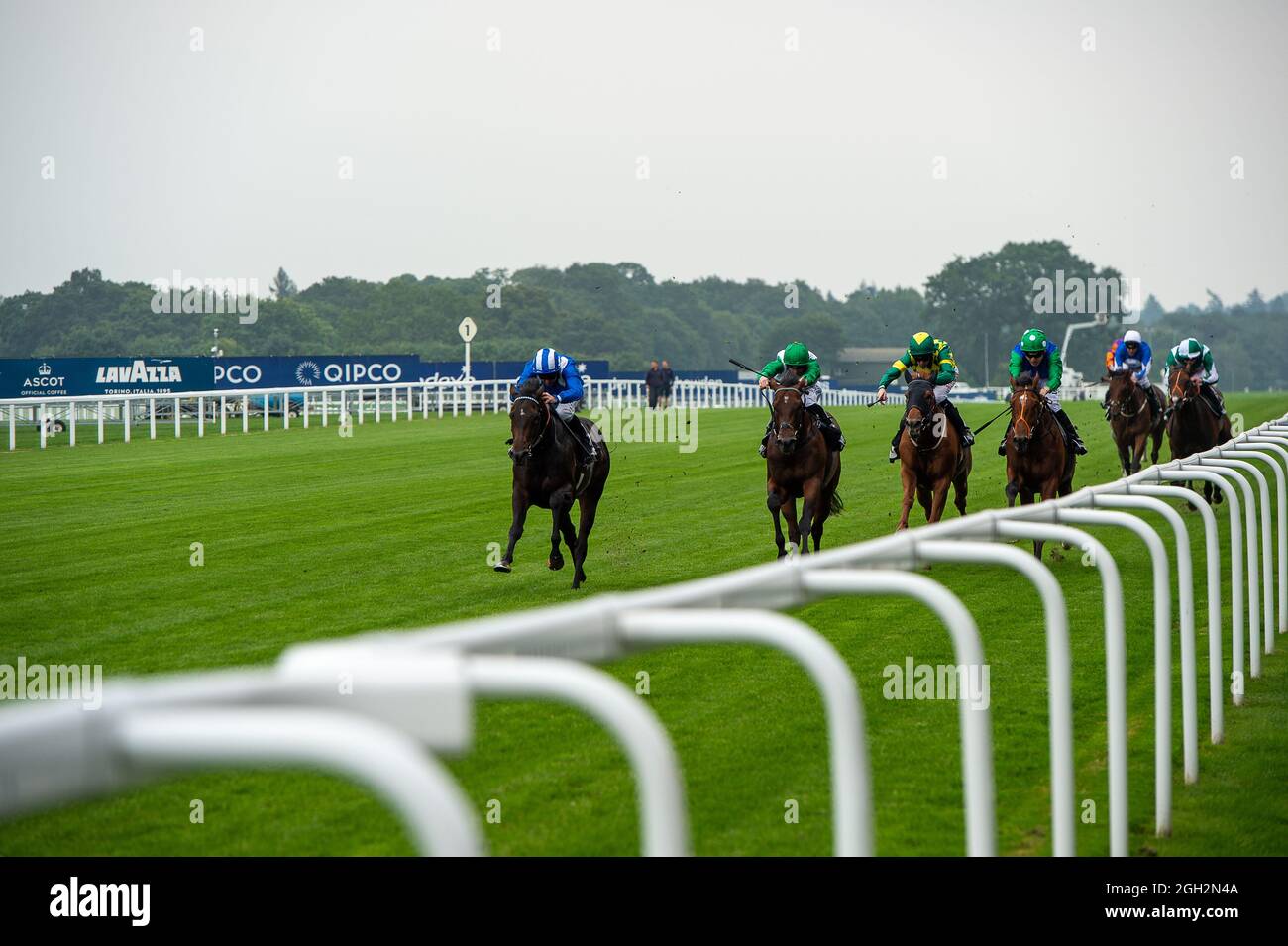 Ascot, Bergen, Großbritannien. September 2021. Jockey Dane O’Neill gewinnt die National Racehorse Week British EBF Novice Stakes auf Pferd Wanees. Trainer Charles Hills, Lambourn. Eigentümer Shadwell Estate Company Ltd. Kredit: Maureen McLean/Alamy Live News Stockfoto