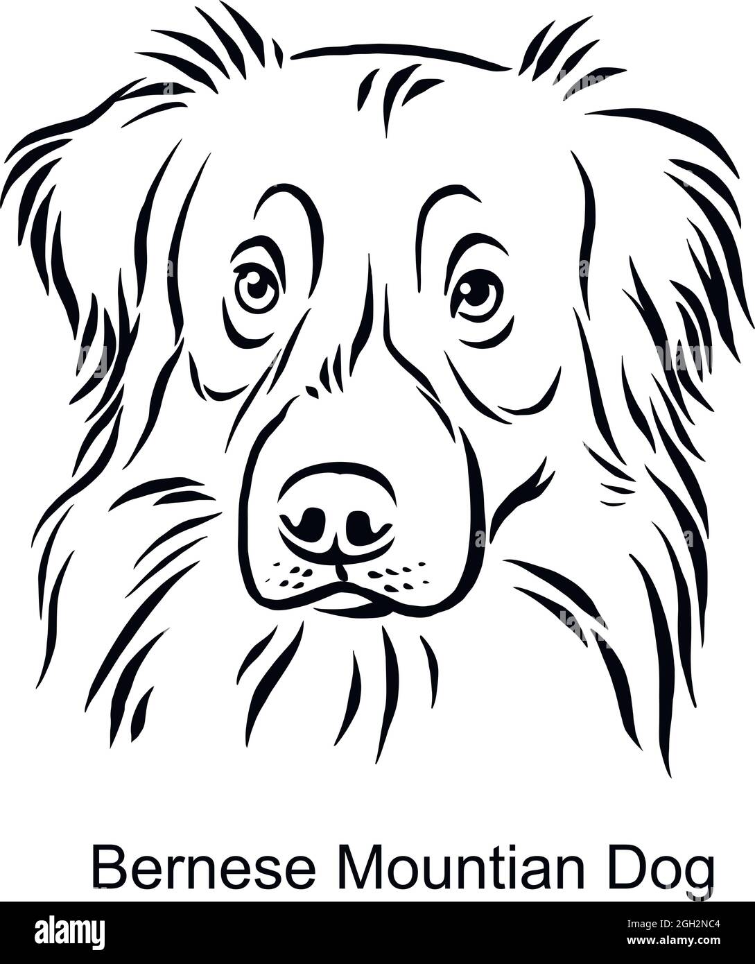Berner Sennenhund Portrait Hund in Line Style - Pet Portrait in Light Style Kopf isoliert auf weiß - Vektorstock Stock Vektor