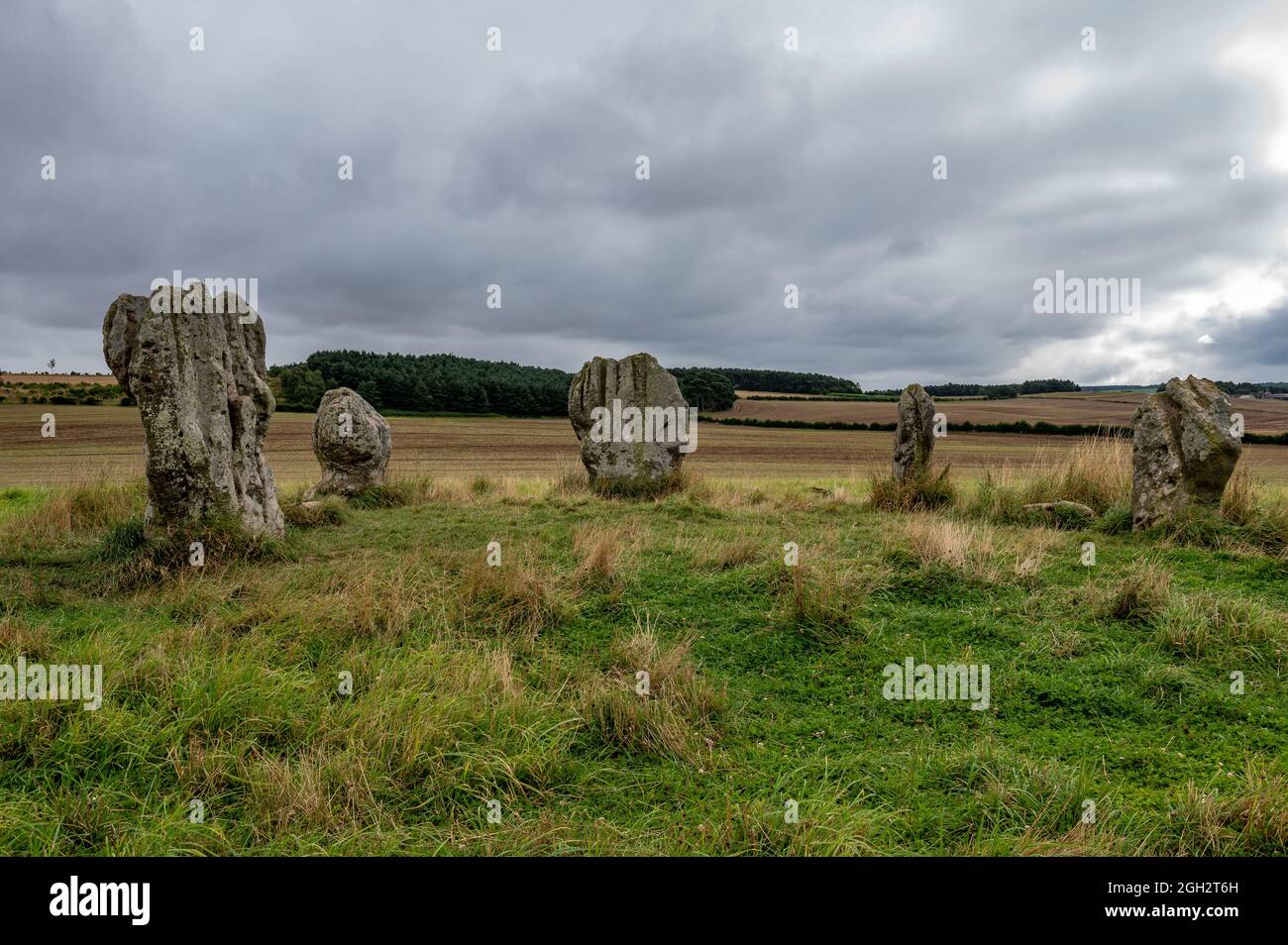 Duddo Five Stones sind frühe bronzezeitalte weiche Sandsteinsteine, die etwa 4000 Jahre alt sind Stockfoto