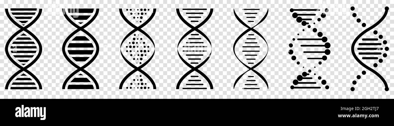 DNA-Symbole gesetzt. Piktogramm des DNA-Symbols isoliert auf transparentem Hintergrund Stock Vektor DNA-Symbole gesetzt. Piktogramm des DNA-Symbols isoliert auf transparentem Hintergrund Stock Vektor