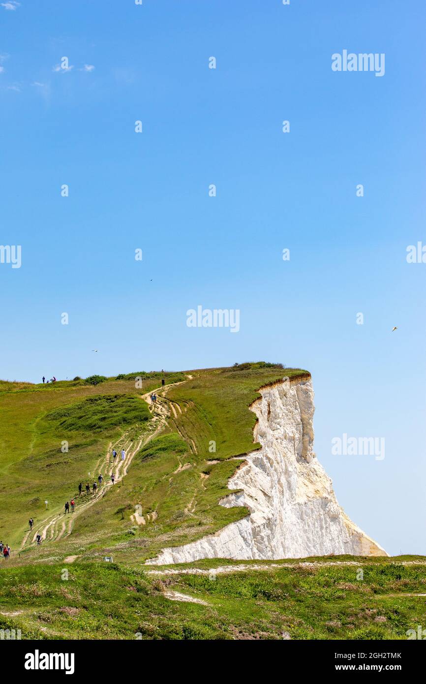 Wunderschöne Aufnahmen von Natur und Landschaft in London, Seven Sisters Stockfoto