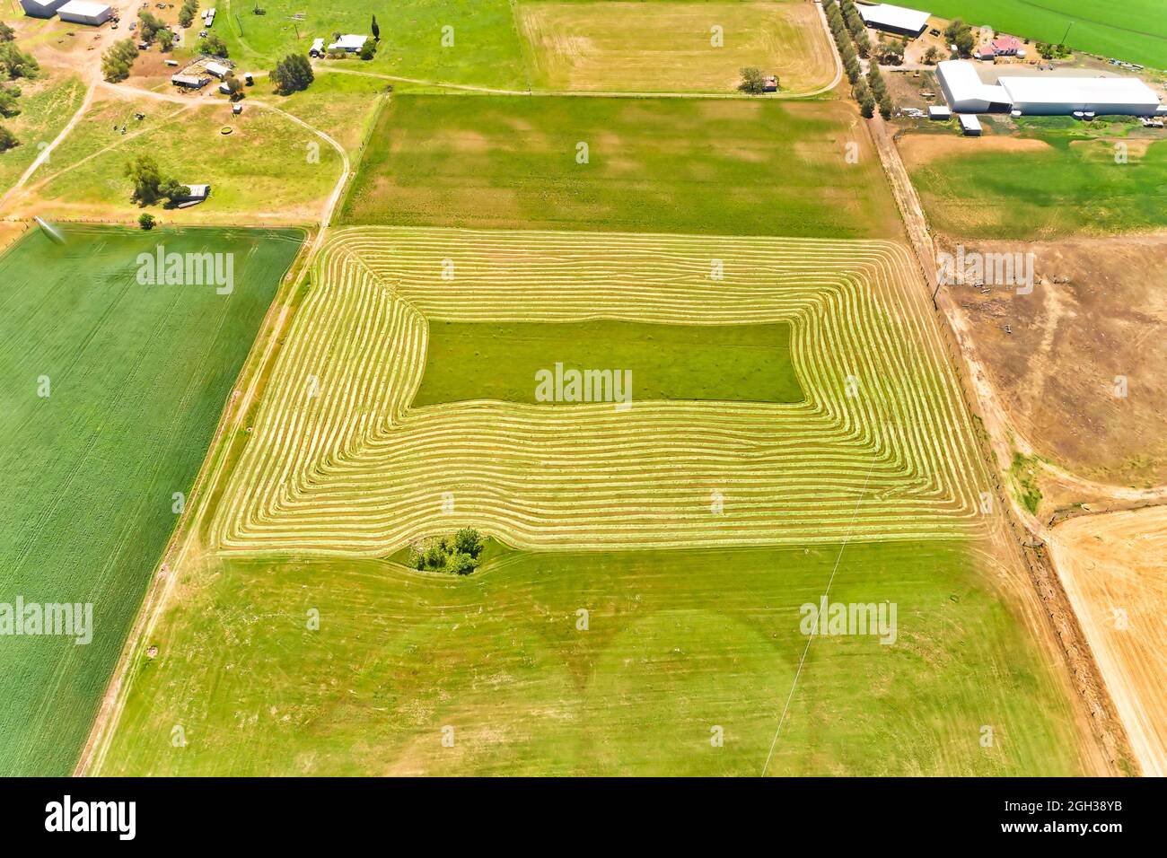 Grüne bewässerte Farmfelder rund um die abgelegene Farm im Hunter Valley am Flussufer des Hunter River - australische Luftaufnahme. Stockfoto
