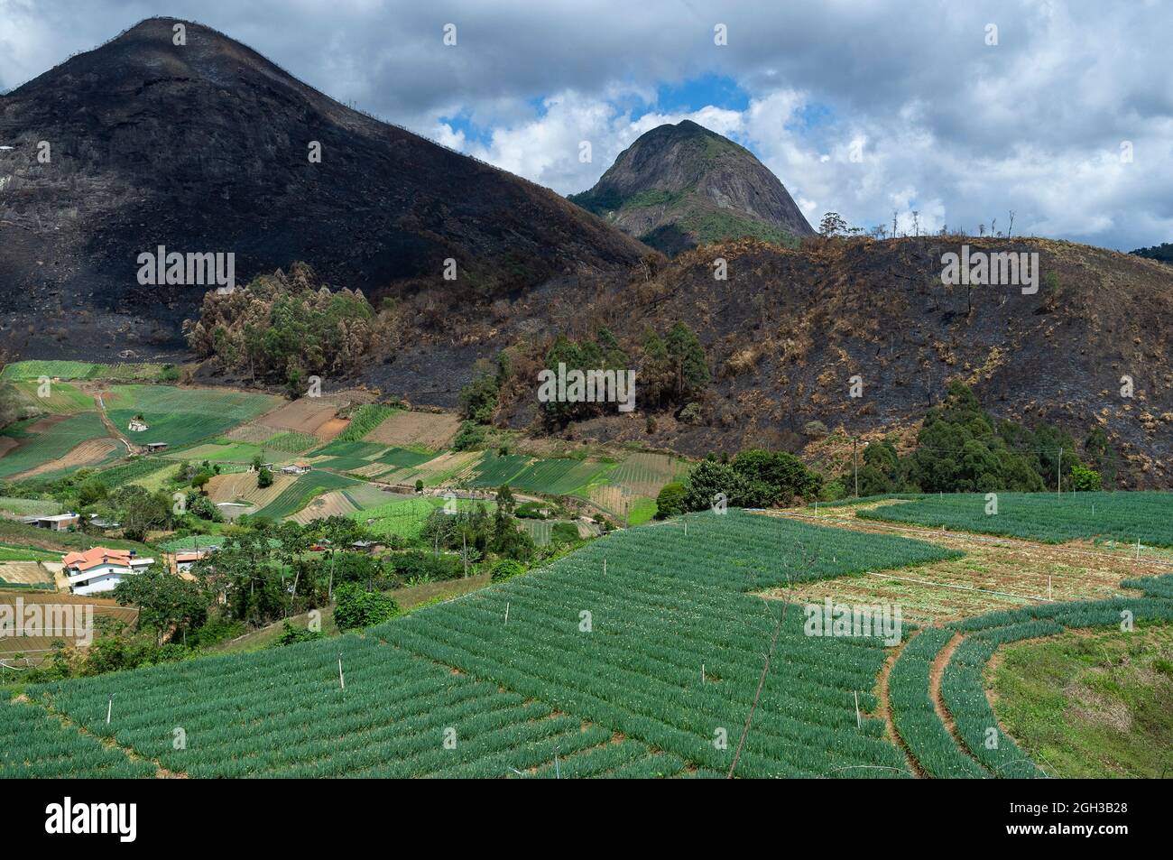 Die Landwirtschaft, die auf kleinen Farmen für die Gemüseproduktion verwendet wird, wird durch Brandrodung und vor kurzem verbranntes Land im Hintergrund und verschiedene Plantagen im Vordergrund zerstört und verbrannt. Stockfoto