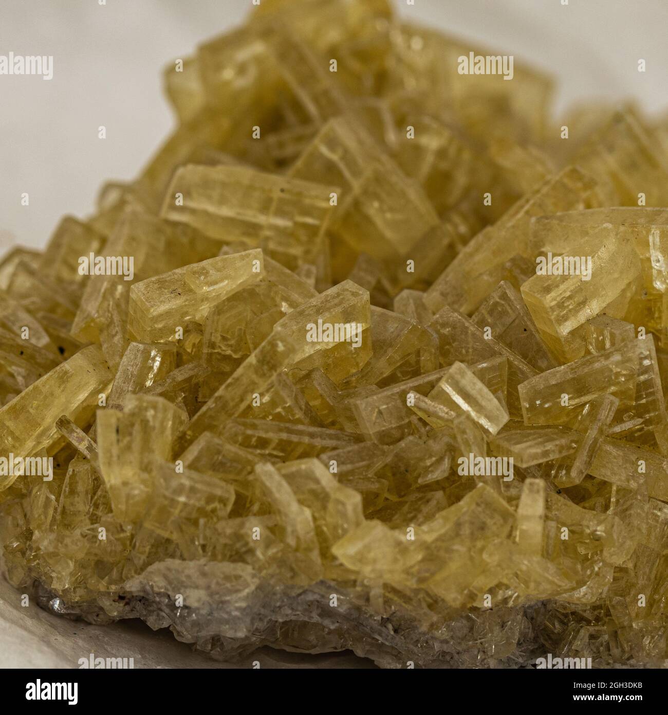 Nahaufnahme der gelben Baryt-Mineralprobe Stockfoto