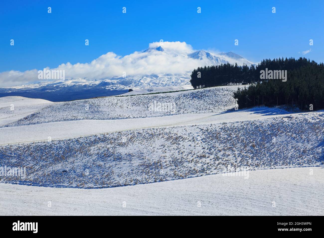 Mount Ruapehu, Neuseeland, im Winter, umgeben von einer verschneiten Landschaft Stockfoto