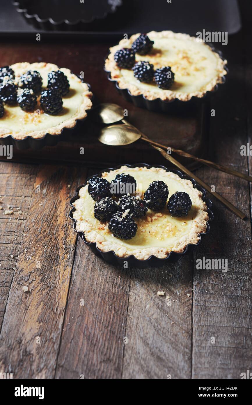 Frisch gebackene Minitörtchen mit Brombeeren auf einem Holztisch. Stockfoto