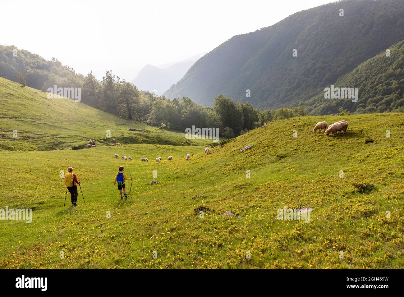 Wanderer durchqueren die Prokletije-Berge im Norden Albaniens in Richtung des Gipfels der Maja e Vajushës, umgeben von atemberaubender alpiner Landschaft Stockfoto