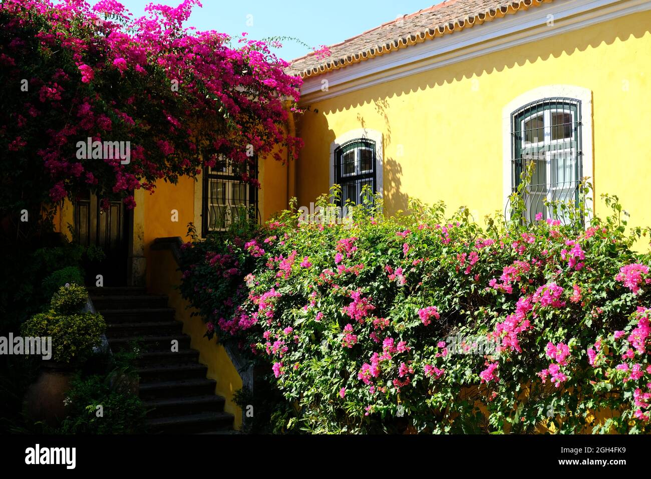 Portugal Lissabon - Hausfassade mit Bougainvillea Blume Stockfoto