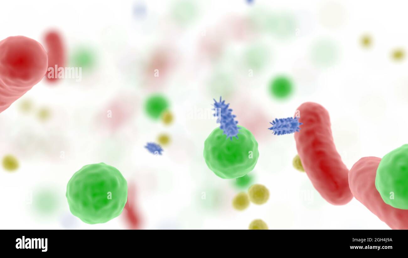 Körpermikrobiom Medizinische Wissenschaft menschliche Gesundheit Bakterien in einer Person 3d-Rendering Stockfoto