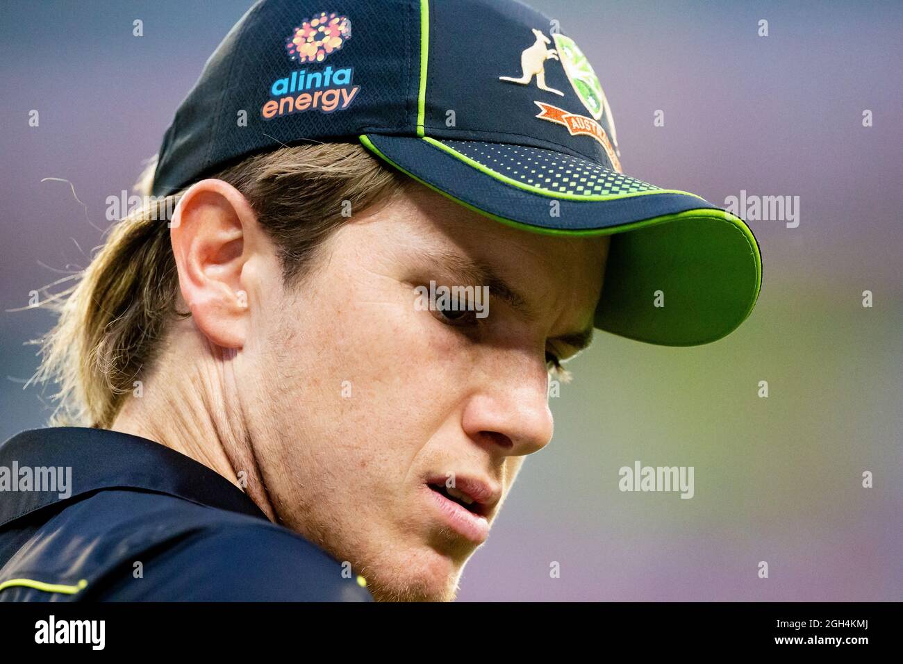 Melbourne, Australien, 1. November 2019. Adam Zampa aus Australien beim Twenty20 International Cricket Match zwischen Australien und Sri Lanka auf dem Melbourne Cricket Ground am 01. November 2019 in Melbourne, Australien. Kredit: Dave Hewison/Speed Media/Alamy Live Nachrichten Stockfoto