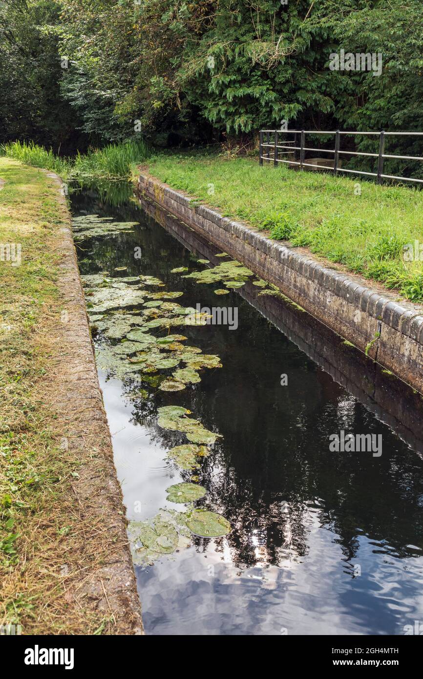 Montgomery Canal und Berriew Aqueduct, Powys, Wales Stockfoto