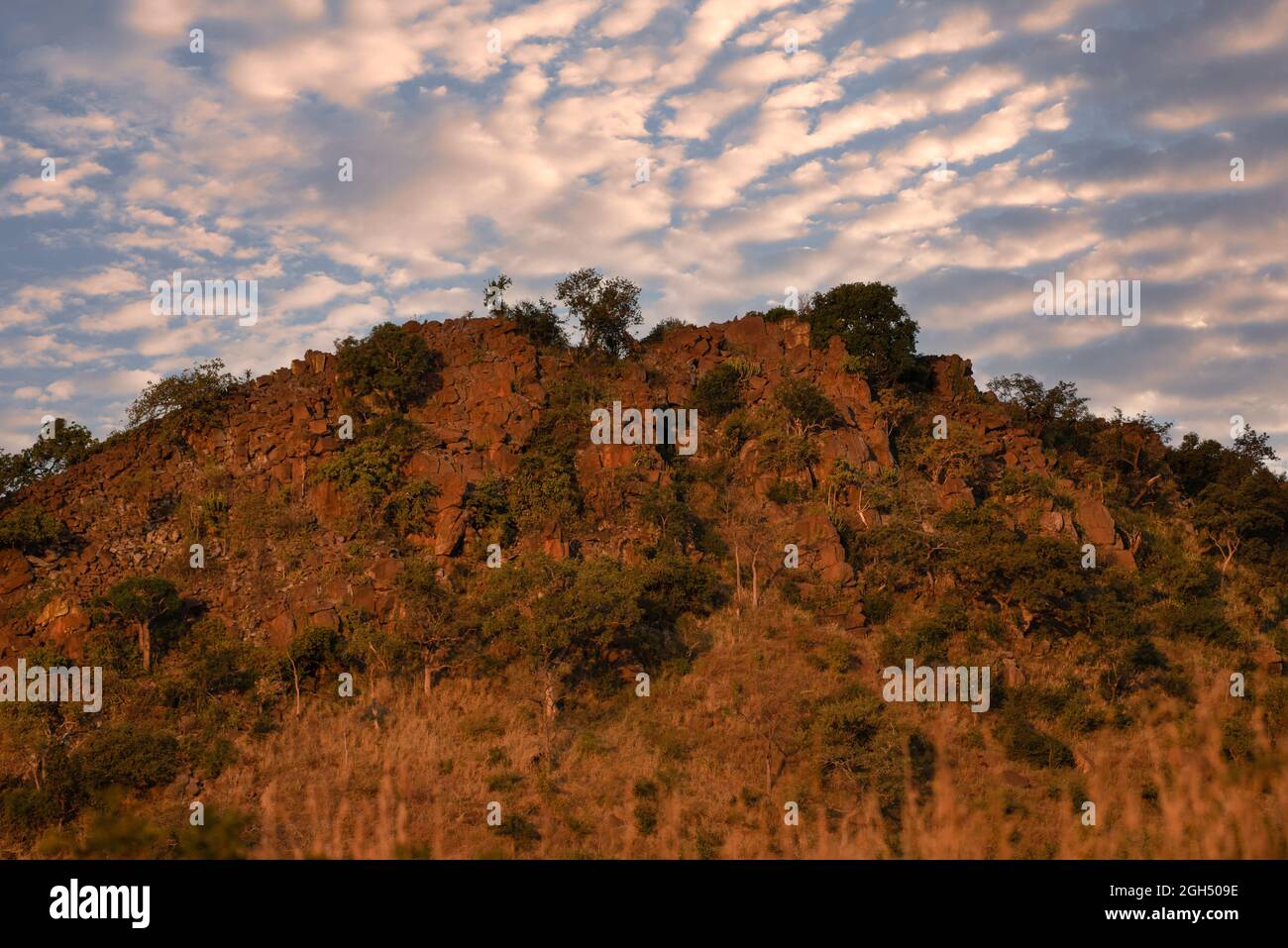 Ein Felsvorsprung mit einheimischer, natürlicher Vegetation und gesprenkelten Wolken im Hintergrund Stockfoto