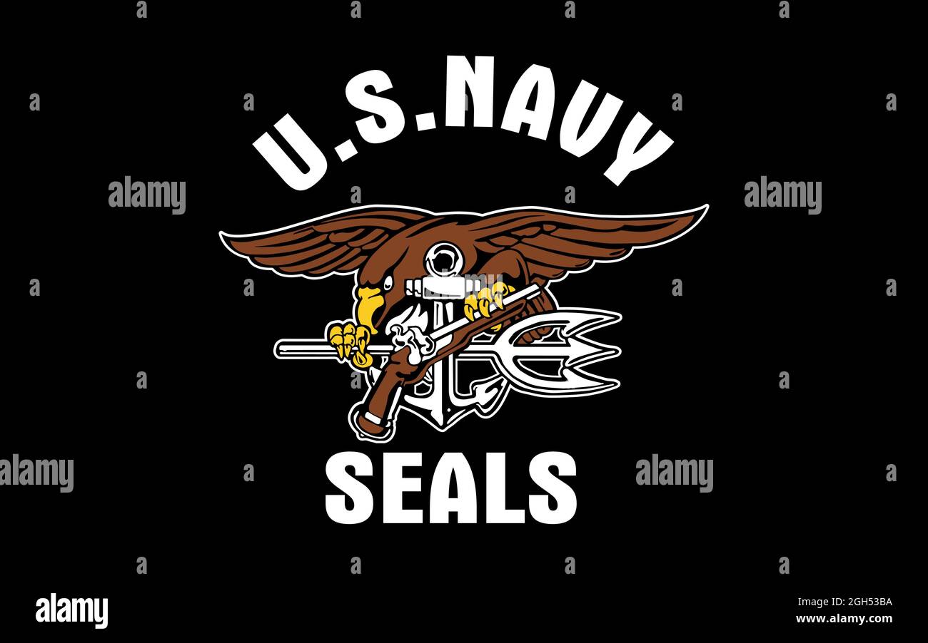 US Navy Seals Flagge, Vereinigte Staaten von Amerika, Vektorgrafik Stock Vektor