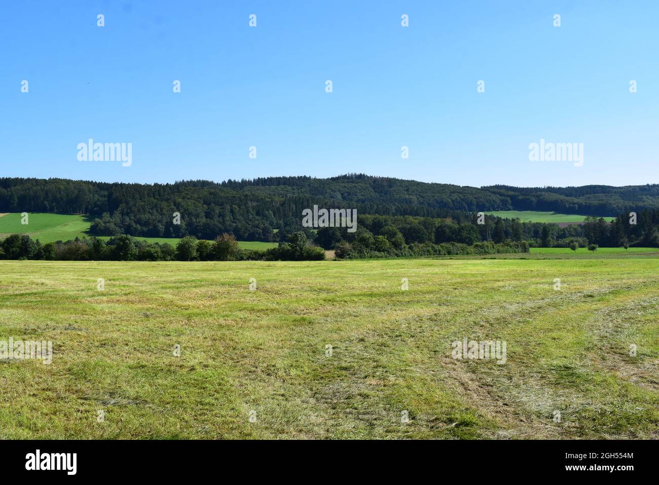 Eifellandschaft im september Stockfoto