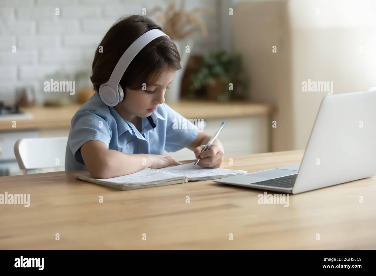 Fokussierte liebenswert kleine 7er Kind Junge online studieren. Stockfoto