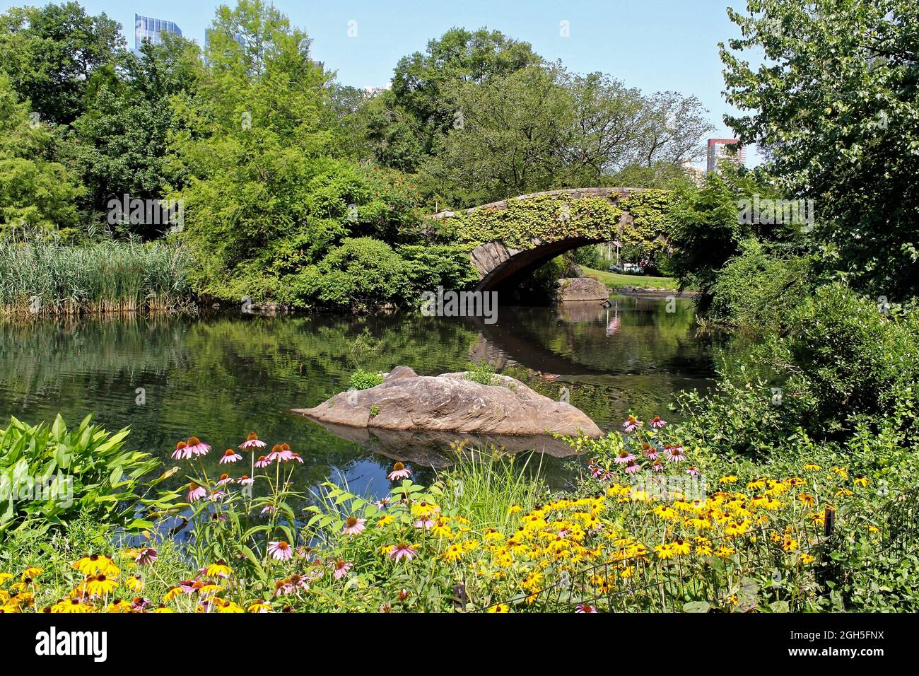 Sommer in New York City im Central Park an der Gapstow-Brücke Stockfoto
