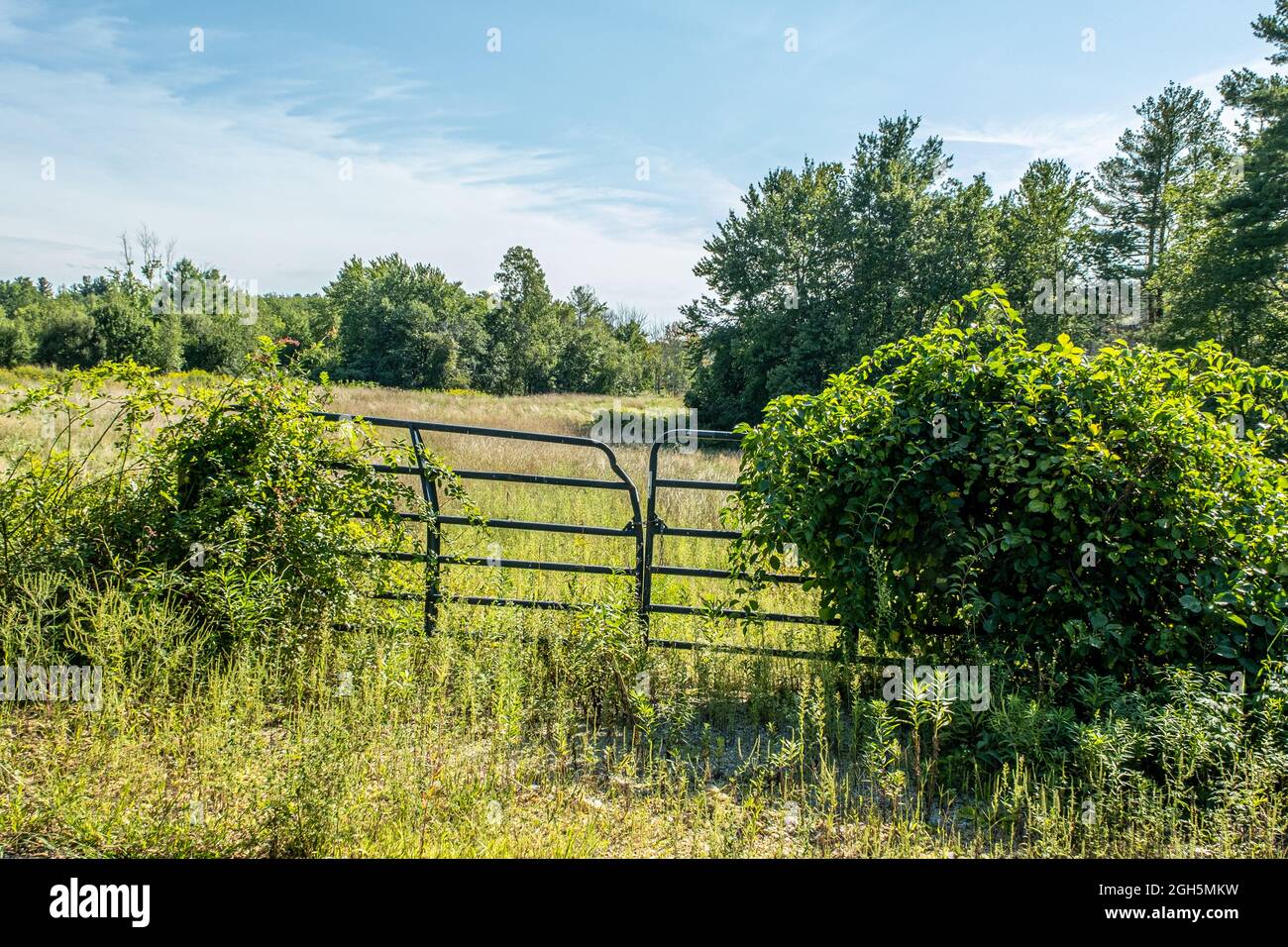 Ein altes Tor zu einer Weide in der kleinen ländlichen Stadt Hardwick, Massachusetts Stockfoto