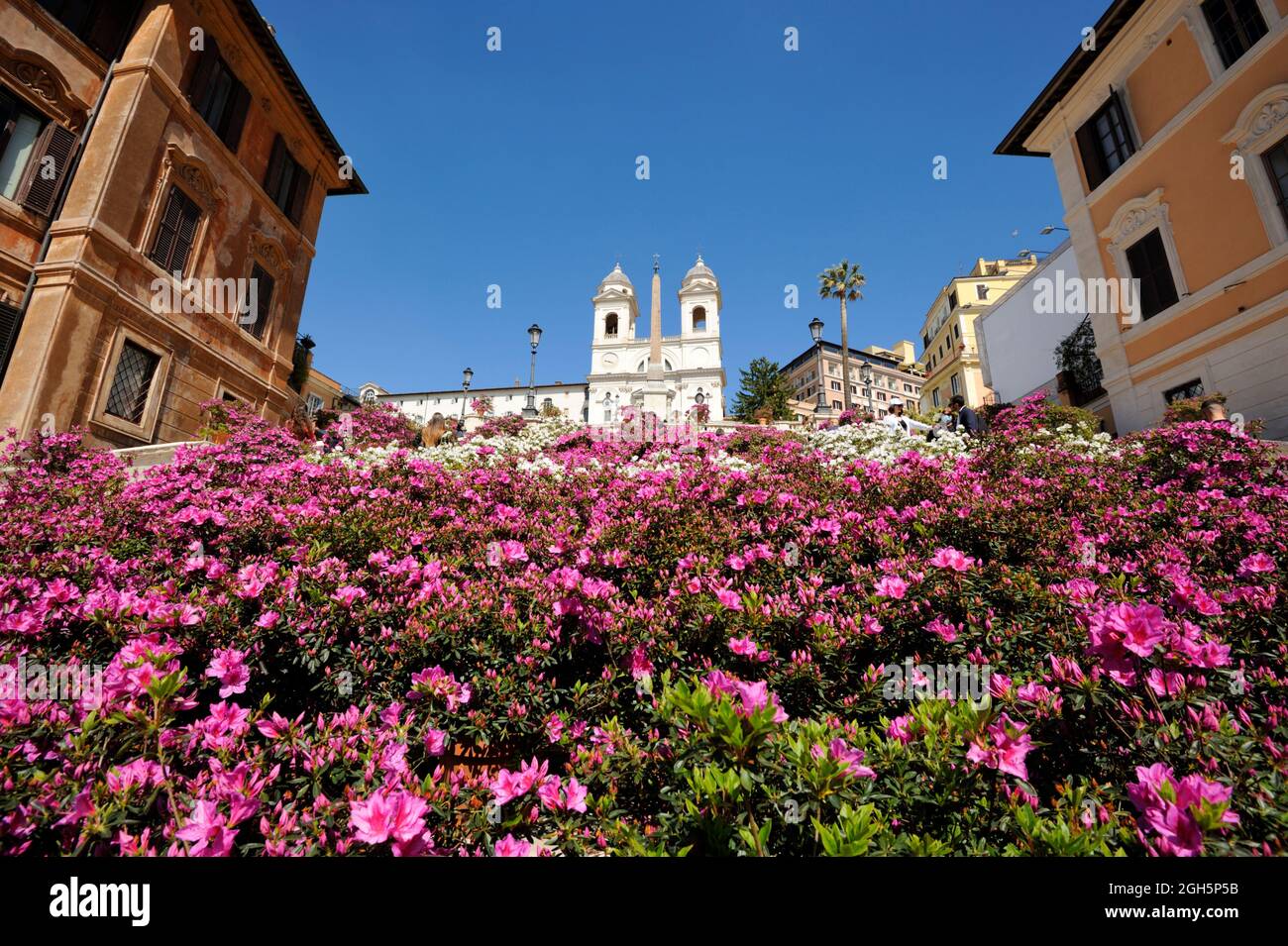 Italien, Rom, Piazza di Spagna mit Blumen im Frühjahr Stockfoto
