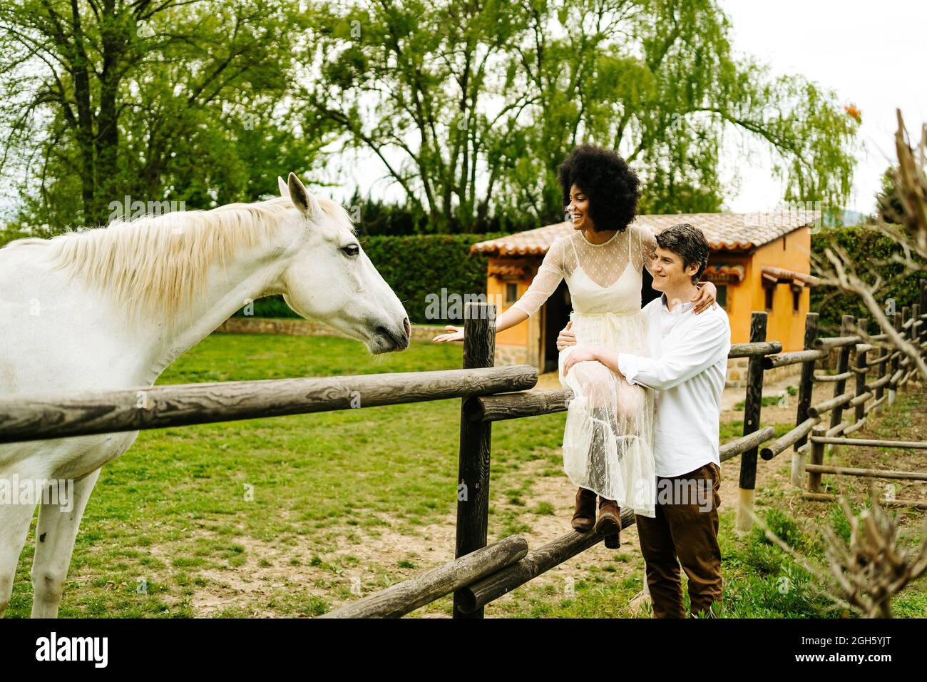 Mann umarmt schwarze Frau, die auf einem Holzzaun sitzt und im Sommer auf dem Land auf dem Weideland auf graues Pferd zugreift Stockfoto